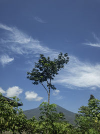 sky