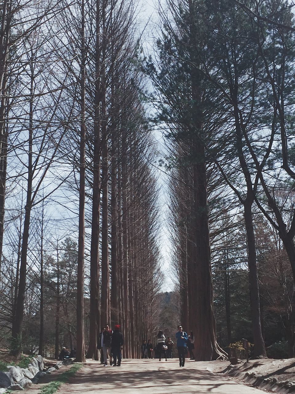 PEOPLE WALKING ON FOOTPATH AMIDST BARE TREES IN CITY
