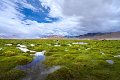 Scenic view of landscape against sky