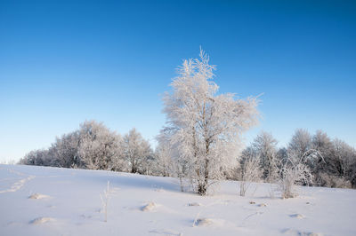 Frosty day on the top of the mountain