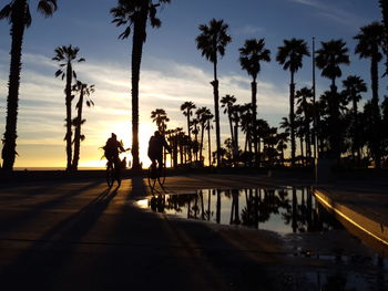 Silhouette palm trees by road against sky during sunset