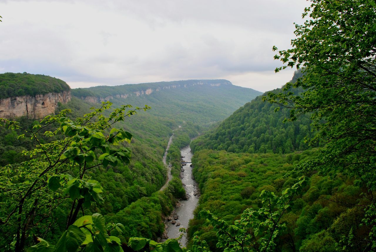 mountain, scenics, tranquil scene, tranquility, beauty in nature, green color, nature, water, sky, landscape, tree, lush foliage, non-urban scene, growth, stream, idyllic, mountain range, forest, river, valley