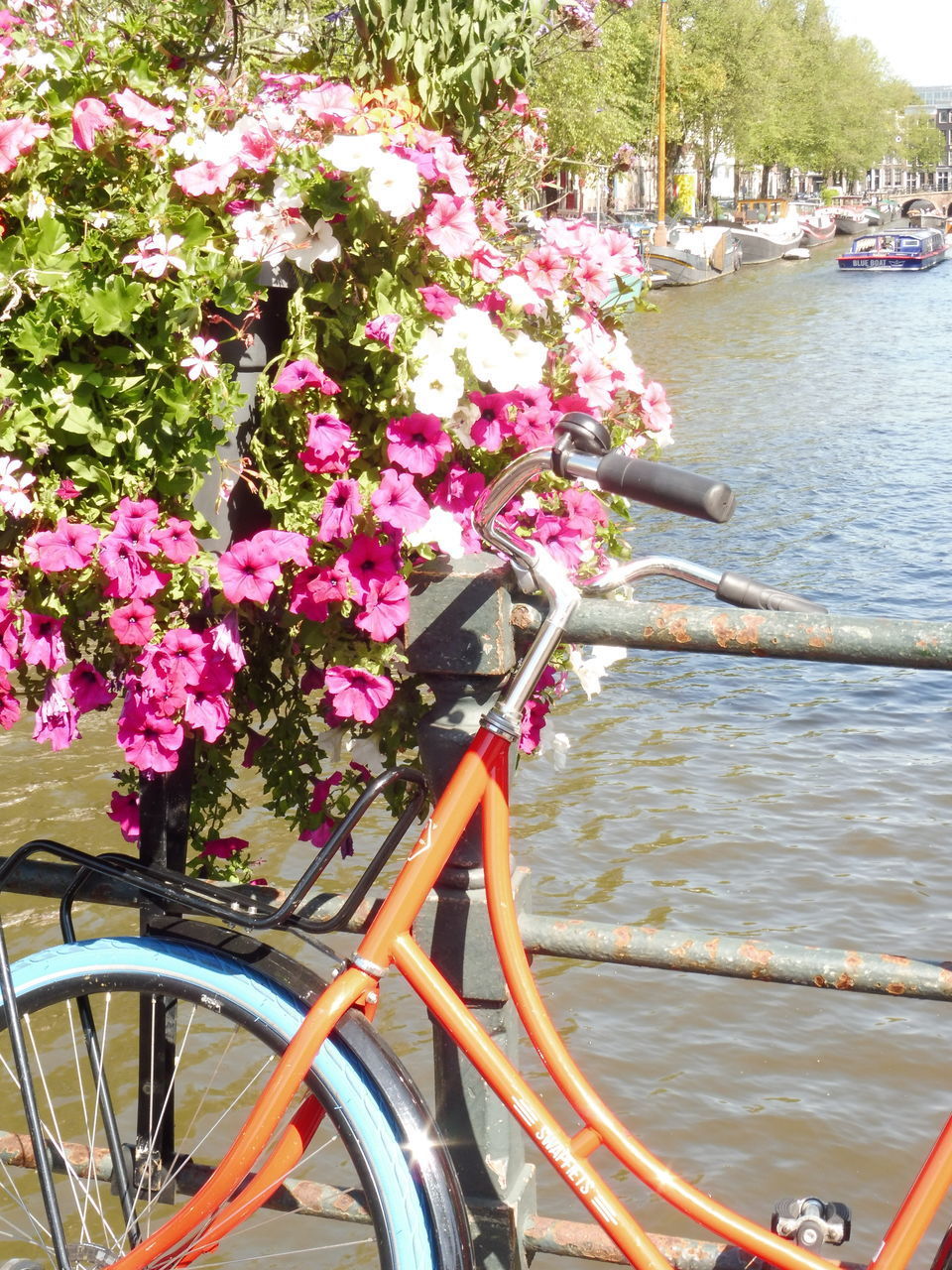 CLOSE-UP OF PINK FLOWERING BICYCLE ON RAILING