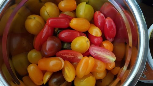 High angle view of cherry tomatoes in container