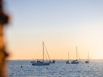 Sailboats sailing in sea against clear sky