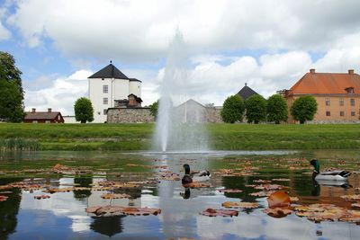 Ducks in lake and buildings against sky