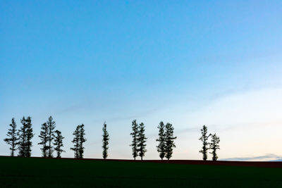 Trees on field against clear blue sky