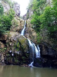 Scenic view of waterfall in forest