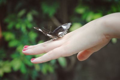 Close-up of hand holding small finger