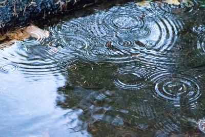 High angle view of raindrops on lake