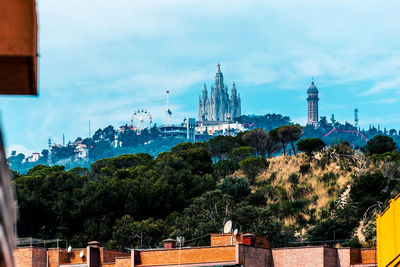 Trees and city against sky