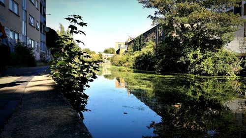 Reflection of buildings in water