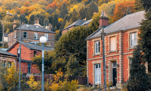 Residential buildings by trees during autumn