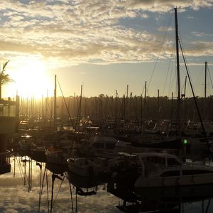 Boats in harbor at sunset