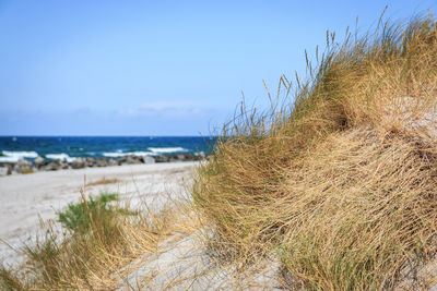 Scenic view of beach against sky