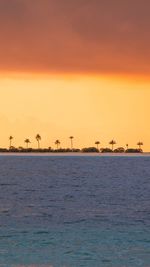 Silhouette birds by sea against orange sky