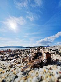 Surface level of rocks on beach against sky