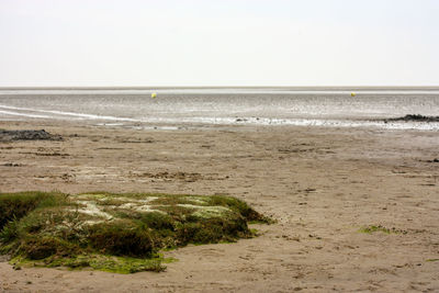 Scenic view of beach against clear sky