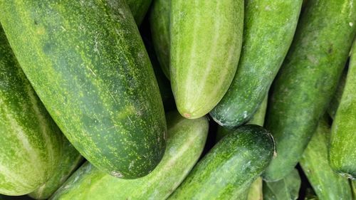 Full frame shot of green cucumbers for sale in market