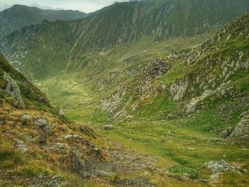 Scenic view of landscape