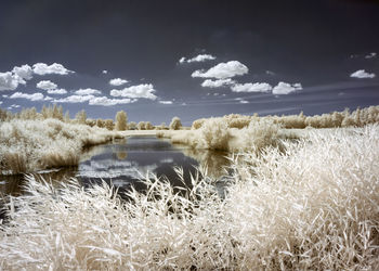 Scenic view of snowy field against sky