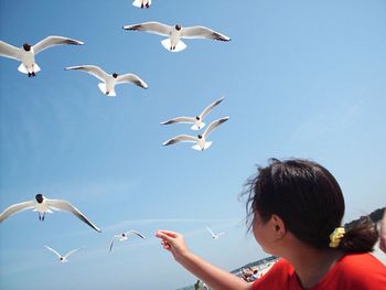 Woman feeding seagulls against clear sky