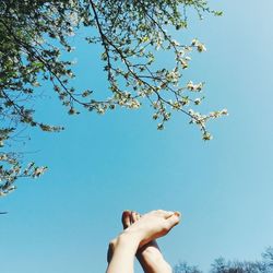 Low angle view of tree and human feet against clear blue sky