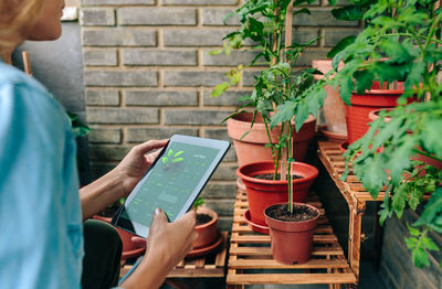 Woman using gardening app with artificial intelligence to care plants of urban garden on terrace