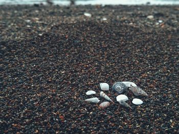 Close-up of pebbles on road