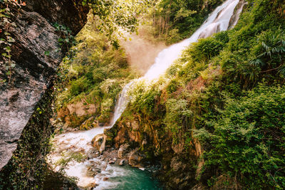 Scenic view of waterfall in forest