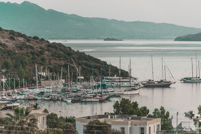 Sailboats moored in harbor