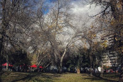 View of bare trees against sky