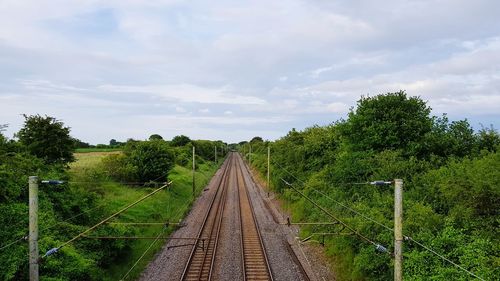 Railway tracks amidst trees against sky