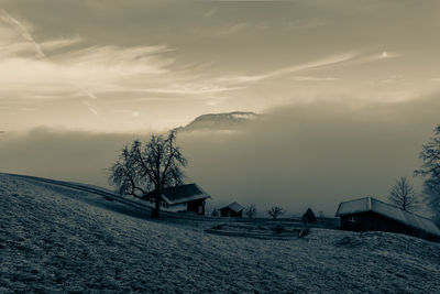 Scenic view of trees and houses against sky during winter