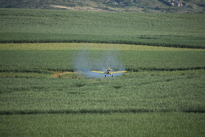 Airplane flying over agricultural field