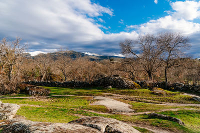 Scenic view of landscape against sky