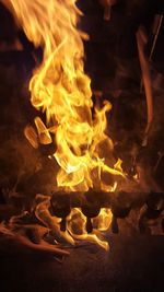 Close-up of campfire at night