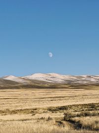 Moon over the praries