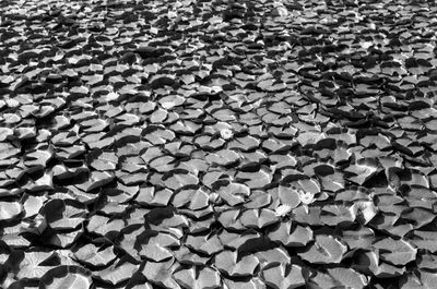 Full frame shot of stones