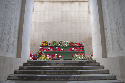 Low angle view of potted plants on staircase of building