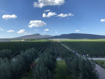 Panoramic view of agricultural field against sky