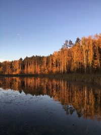 Scenic view of lake in forest against clear sky