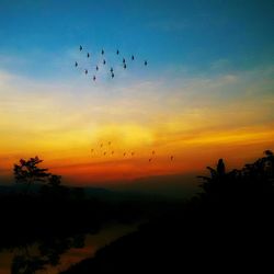 Silhouette birds flying against sky during sunset