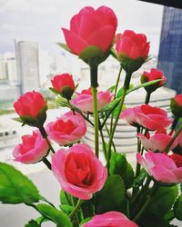 Close-up of pink flowers blooming against sky