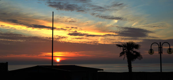 Silhouette palm trees against sky during sunset