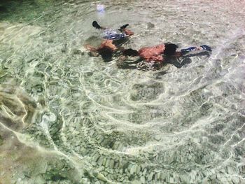 High angle view of men swimming in lake