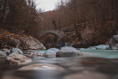 Surface level of rocks by river in forest