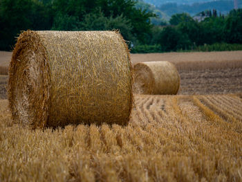 Hay bales on field