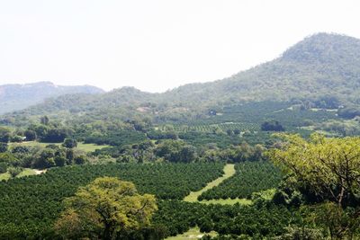 Scenic view of mountains