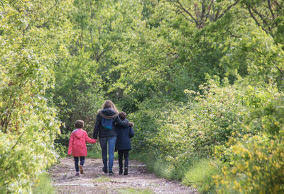 Rear view of family  walking in forest